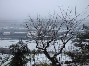 160114 雪景色.JPG